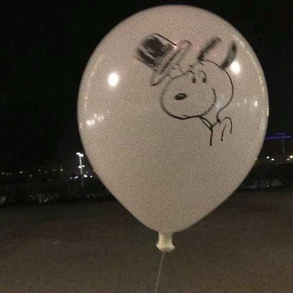 Meet your Posher, Qin